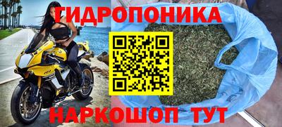 гидра Камышлов