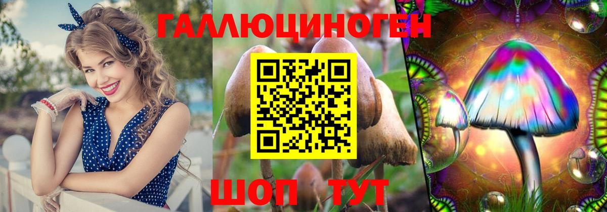 Псилоцибиновые грибы Magic Shrooms Азов