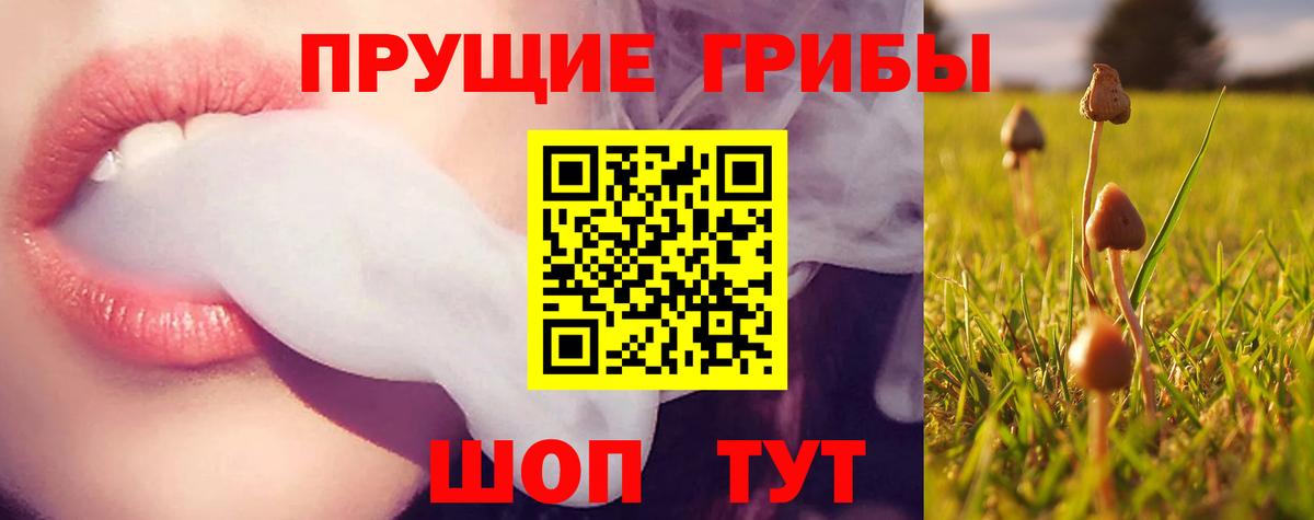 Псилоцибиновые грибы MAGIC MUSHROOMS  Галлюциногенные грибы прущие грибы  Вход с VPN  Азов 